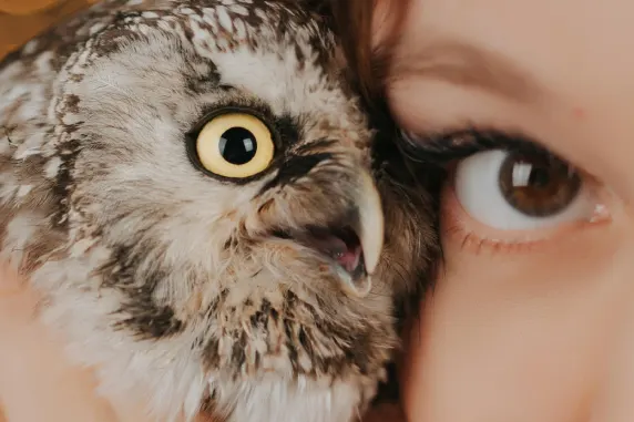 Casino Palace of Chance Tacaíocht